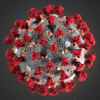 CDC Lowers Isolation Quarantine Period